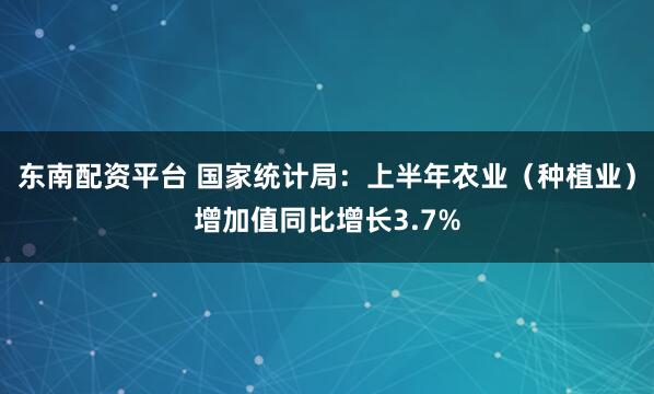 东南配资平台 国家统计局：上半年农业（种植业）增加值同比增长3.7%