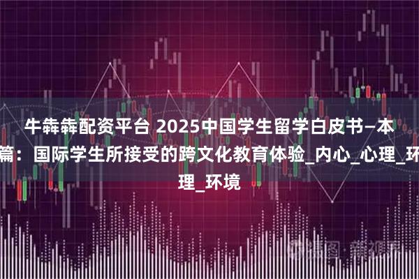 牛犇犇配资平台 2025中国学生留学白皮书—本科篇：国际学生所接受的跨文化教育体验_内心_心理_环境