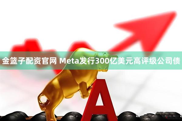金篮子配资官网 Meta发行300亿美元高评级公司债