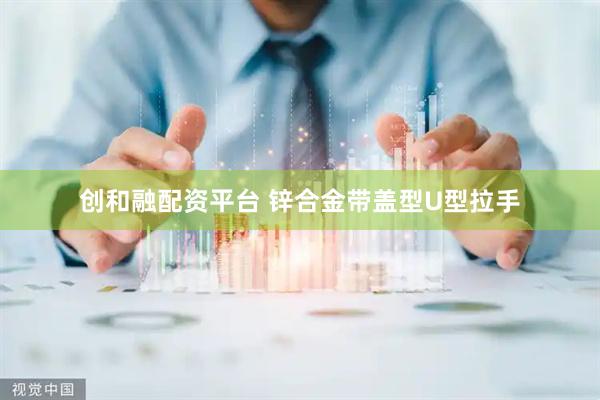 创和融配资平台 锌合金带盖型U型拉手