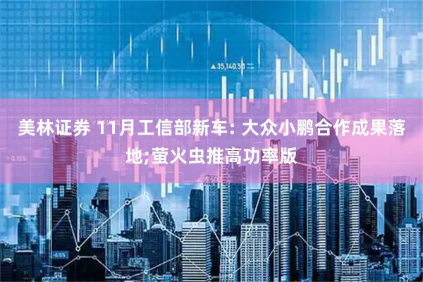 美林证券 11月工信部新车: 大众小鹏合作成果落地;萤火虫推高功率版