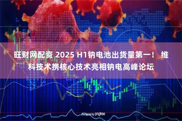 旺财网配资 2025 H1钠电池出货量第一！ 维科技术携核心技术亮相钠电高峰论坛