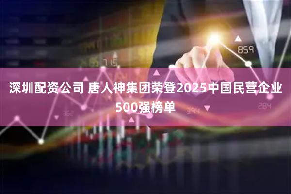 深圳配资公司 唐人神集团荣登2025中国民营企业500强榜单